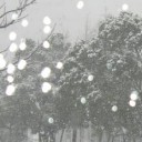 雪すげｗ