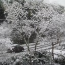 雪、雪、雪　そしてワカサギ！