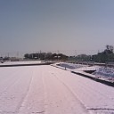 雪雪埼玉