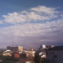 風に吹かれて♪