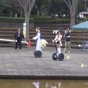 つくばも変わった