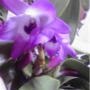 もう３月・・