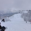 続寒波再びというもの