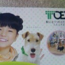 エクステリア