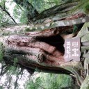 帰りましたよ・・・さらば！屋久島！