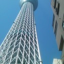 もう春です
