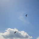 木曜〓立ち読みとカラオケと〓