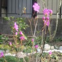 少しずつ・・・・