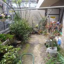 穏やかな日曜日