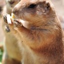 木曜〓動物園とタブレットと〓