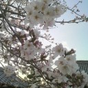 もうすぐです～