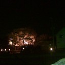 夜桜