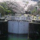 春の花見遠足　その２