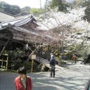 春の花見遠足　その２