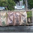 都知事選挙日