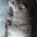 クラス替え