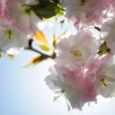 水曜〓長距離と片付けと〓