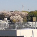 幸せはここにある