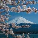 春の皆生温泉旅行。