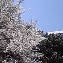 赤司君！！