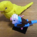 インコ×ナノブロック。