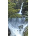 GP神戸2日目part2