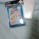 昨日買ったスリーブと今日買った頂上大激突