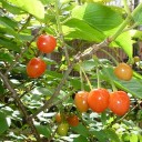 ５月がスタート