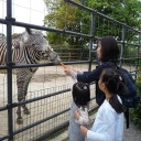 阪急阪神ホールディングス株主優待乗車証
