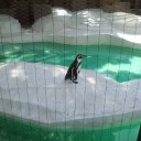 動物園