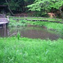 GW日記(1)