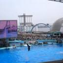 2011年GW　名古屋旅行２～３日目