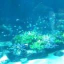 2011年GW　名古屋旅行２～３日目