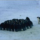2011/6/5 それにつけても金の欲しさよ