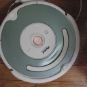 しゃくなげ
