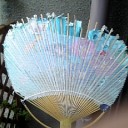 久々のあんず