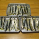 季節感　いっぱい！