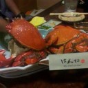 明日から…