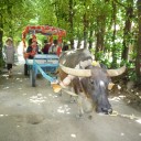 沖縄旅行３日目②