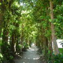 沖縄旅行３日目②