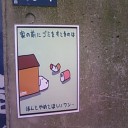 かわいいけど