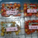 旅行先から