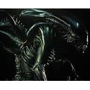 水曜スタン　＋荒木先生にあやかってホラー映画紹介part３