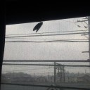 蝉ェ…