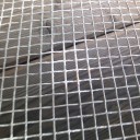 金魚が全滅