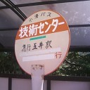 夏の陣討ち死にかも…