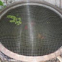 猫対策に新しい金網でカバー