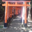 京都から帰還しました