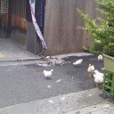 なんで？