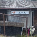 シェイクダウン